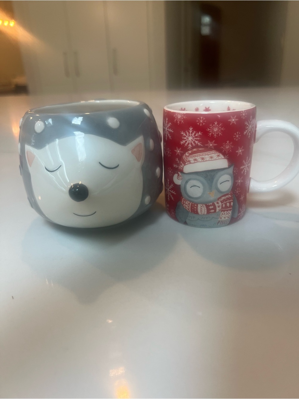 Sur La Table Gray Fox and Red Owl Ceramic Mug Set